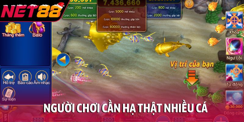 Jackpot Fishing: Game săn thưởng độc đáo thưởng cao 2026 Người chơi cần hạ thật nhiều cá