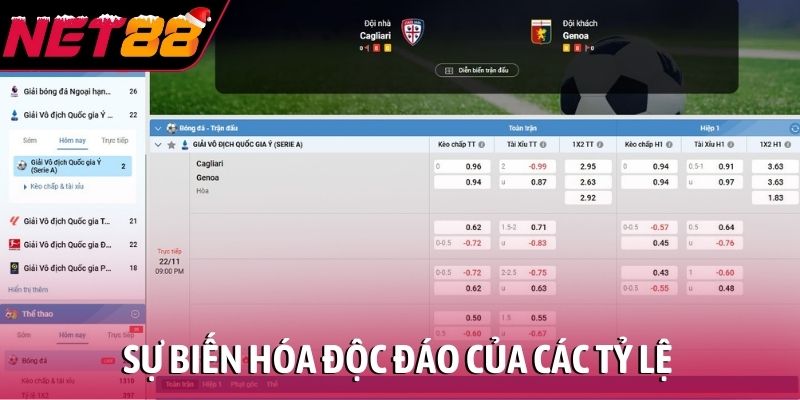 Sự biến hóa độc đáo của các tỷ lệ