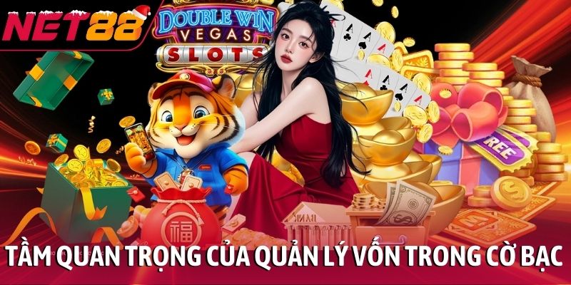 Tầm quan trọng của quản lý vốn trong cờ bạc